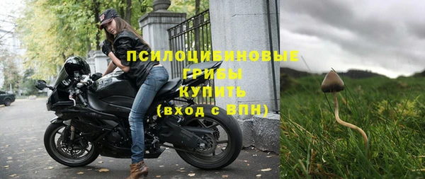 а пвп мука Армянск