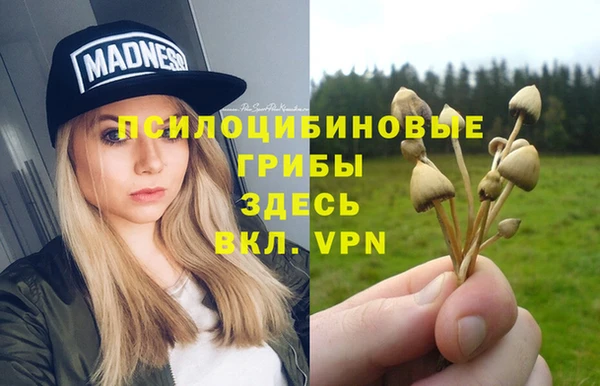 а пвп мука Армянск