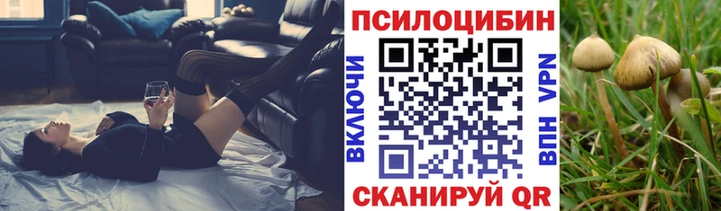 купить закладку  Каргат  Псилоцибиновые грибы MAGIC MUSHROOMS 